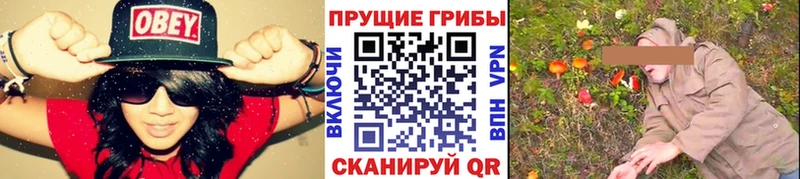 Купить закладки  Бокситогорск  Галлюциногенные грибы мицелий 