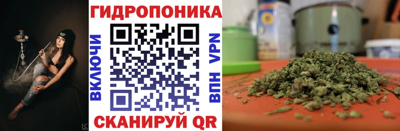 Купить  Бокситогорск  Конопля планчик 